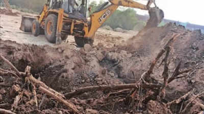 Delhi forest department to resurrect over 30 trees buried alive