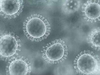 Mexico confirms first imported case of monkeypox - Times of India