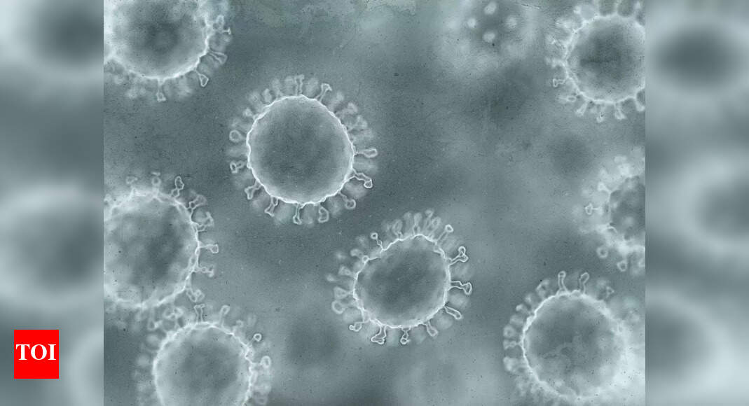 Mexico confirms first imported case of monkeypox - Times of India