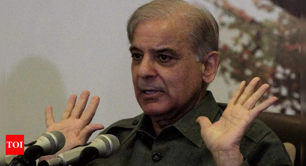 After Imran Khan’s rally ‘chaos’, Shehbaz Sharif govt bans processions – Times of India