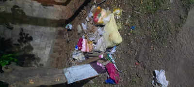 garbage dumping - Times of India