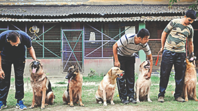 Kolkata police spend Rs 3.5 lakh to get rid of dog ticks