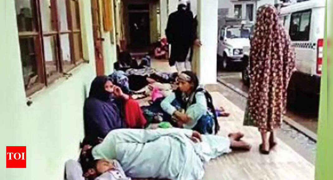 Assam: 26 Rohingya 'on job hunt' held in Silchar