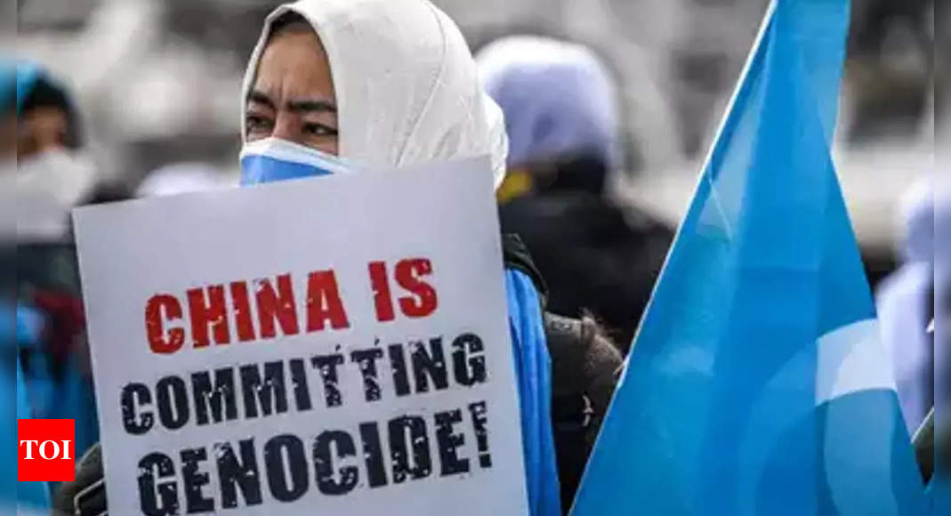 uyghur:  Uyghur activists protest in US, urge UN to act on genocide by China – Times of India