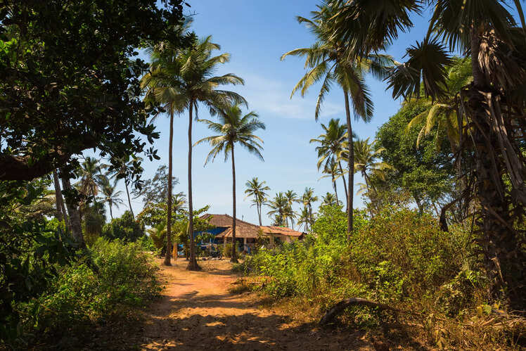 Experience the rural life like never before