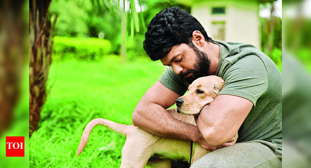 Exclusive: Team 777 Charlie aims to promote adoption of indies and rescued dogs | Kannada Movie News - Times of India Exclusive: Team 777 Charlie aims to promote adoption of indies and rescued dogs | Kannada Movie News - Times of India
