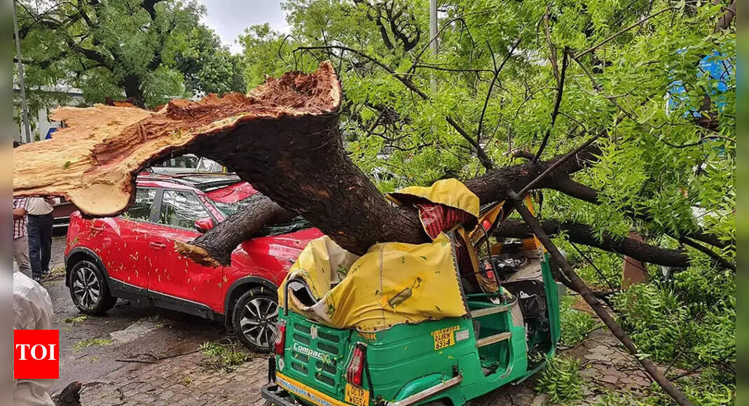 Half-hour of havoc in Delhi: 100kmph storm leaves 2 dead