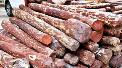 DRI seizes 14 tonnes of red sanders worth Rs 11.7 crore in Ahmedabad