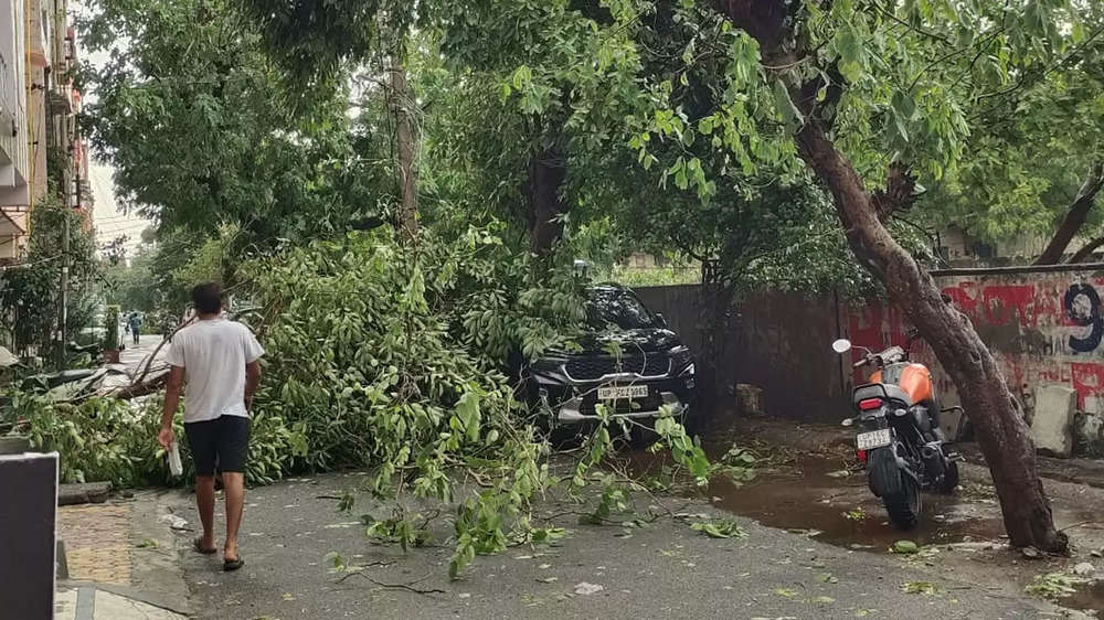 Photos: 100kmph storm leaves damage trail in Delhi-NCR | The Times of India