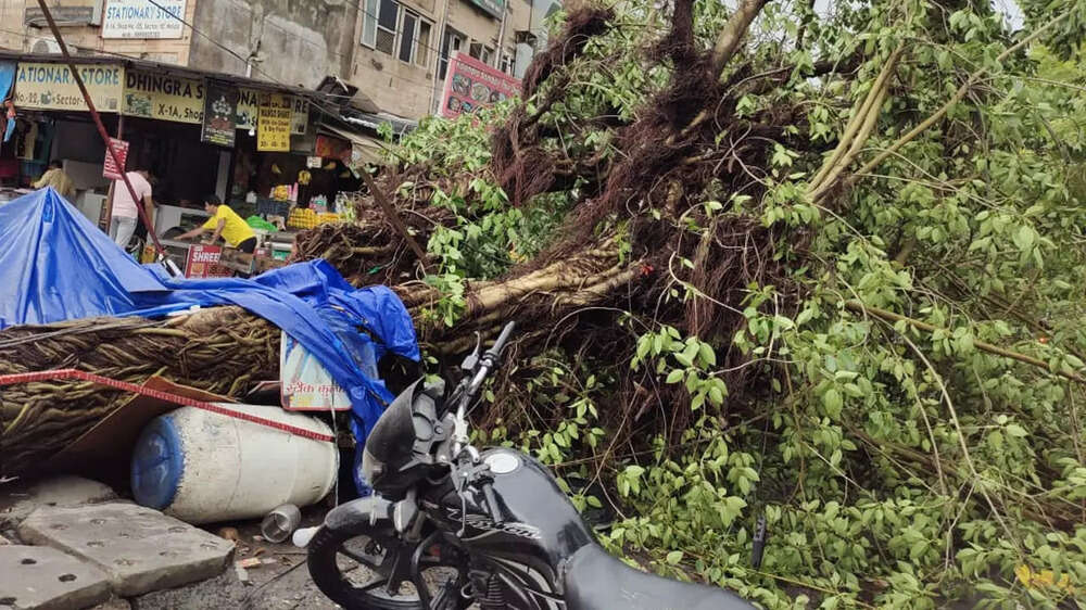 Heavy rain leaves damage trail in Delhi, Noida