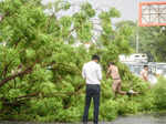 Massive storm leaves its footprints in Delhi-NCR; see pics