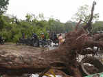 Massive storm leaves its footprints in Delhi-NCR; see pics