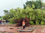 Massive storm leaves its footprints in Delhi-NCR; see pics