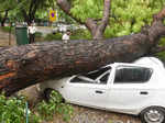 Massive storm leaves its footprints in Delhi-NCR; see pics