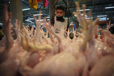 Distress in Singapore as Malaysia bans chicken export