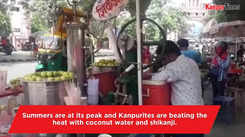 Kanpurites beating the heat with coconut water and shikanji