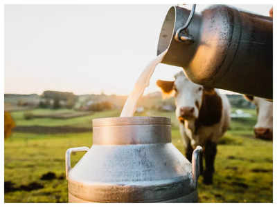 World Milk Day 2022: Date, significance, theme, and easy recipes