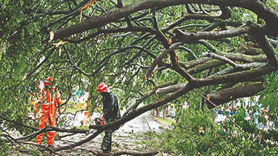 Bhubaneswar rises in protest as trees cut down for MLAs’ building
