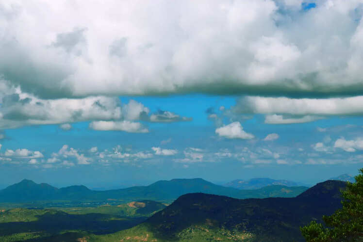 Horsley Hills