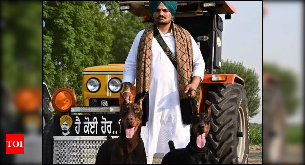 Late Punjabi singer Sidhu Moose Wala's pet dogs refuse food