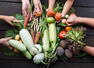 Most difficult nutrients to get and how to fix