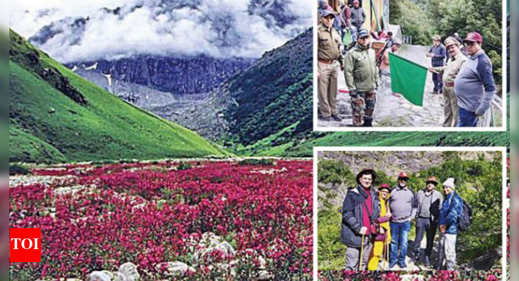 Valley of Flowers opens for tourists with more vegetation & green cover
