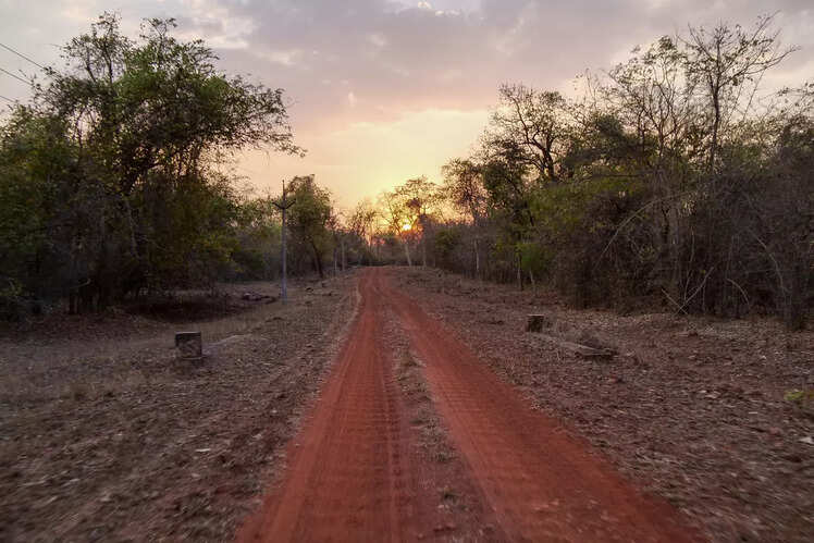 Tadoba-Andhari National Park, Maharashtra