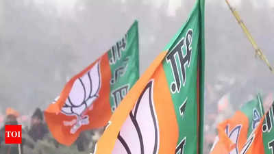 Regional parties fear BJP’s growth, Karu Nagarajan says