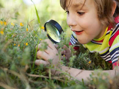 Easy activities for kids to help them get in touch with nature