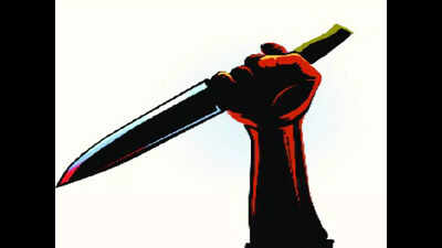 After 3 suicides in lover’s family, UP teen girl who eloped returns