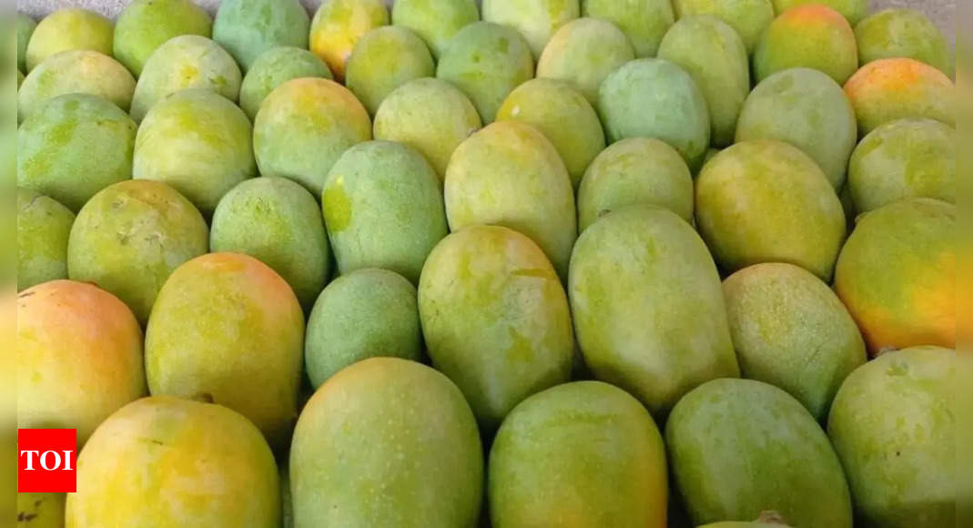 Mango jelly biz declines on fruit shortage Visakhapatnam News Times