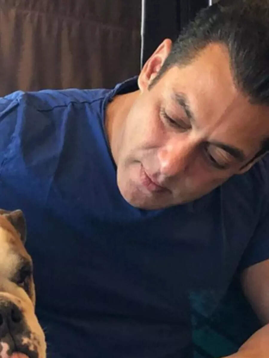 Checkout Salman Khan's luxurious properties in Mumbai & Dubai Times