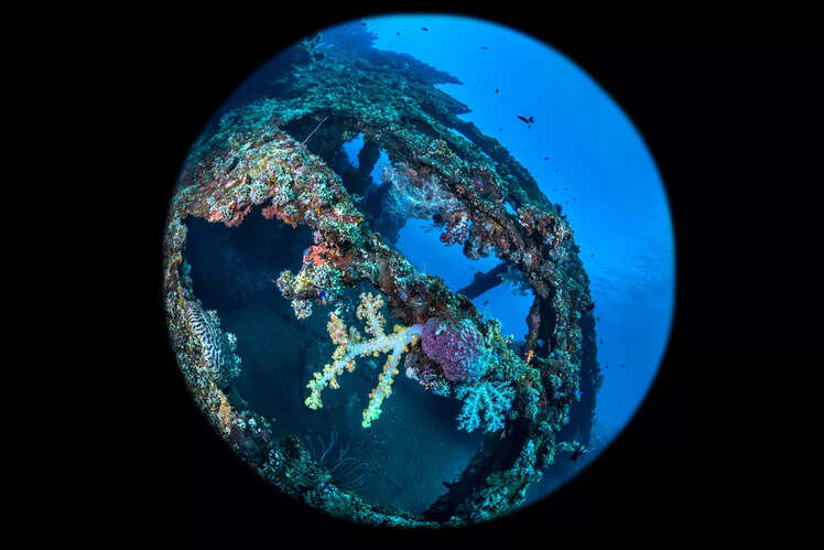 Liberty shipwreck, Tulamben
