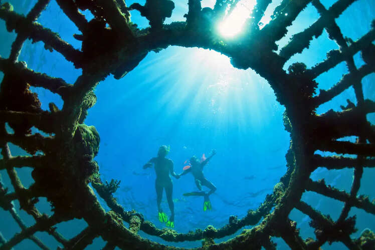 Mandarin Point, Pemuteran