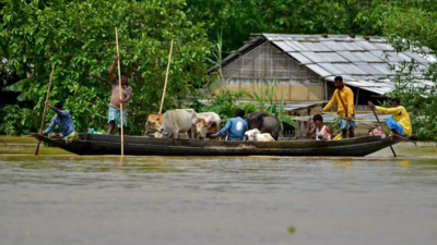 Flood situation in Assam improves, nearly 70K still in distress