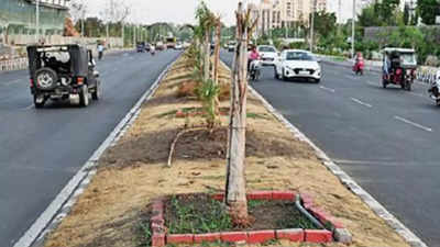 Guidelines only on paper, Bhopal is fast losing its green cover