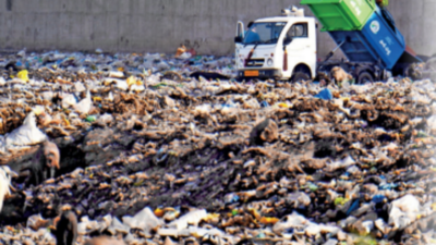 Andhra Pradesh: NTR district plans clean-up as Krishna chokes on garbage