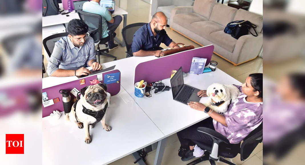 Wfh: As WFH ends, are Indian corporates ready for pet-friendly workplaces?