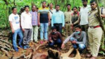Karnataka: 5 men go fishing, return with tusks & land in net