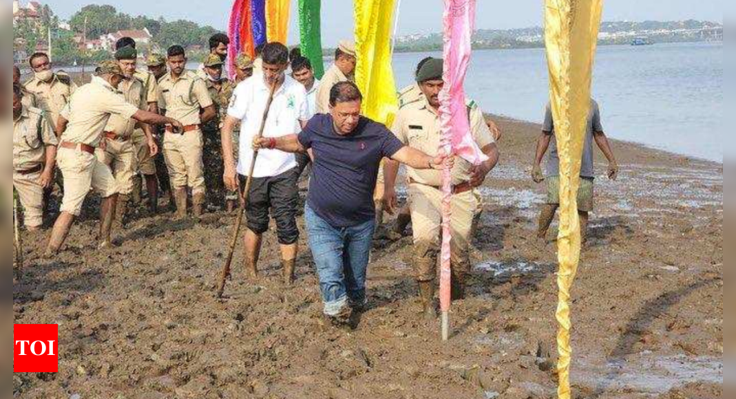 15,000 mangrove saplings will be planted at new island in Mandovi: Goa forest minister Vishwajit Rane