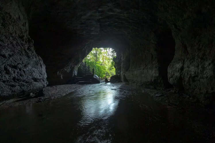 Visit Vashishtha Caves