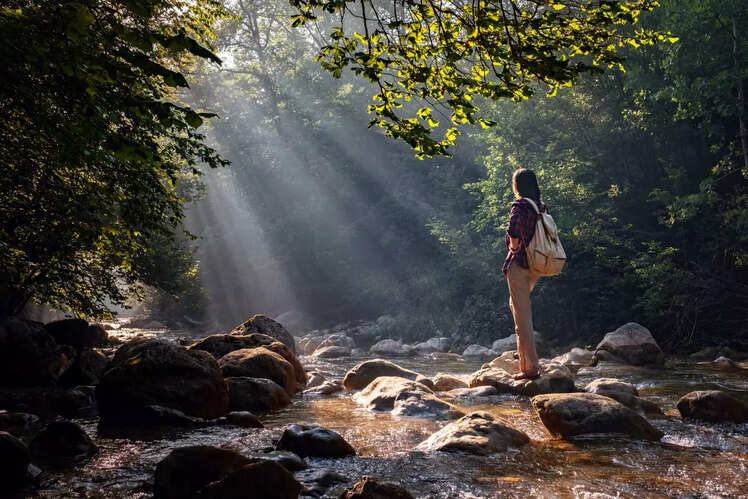Experience waterfall trekking