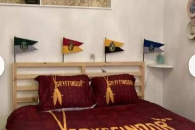 ​Harry Potter Decor, Dijon, France