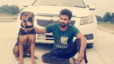 ‘Max’ courage: Pet takes bullet for owner in UP's Sultanpur, dies