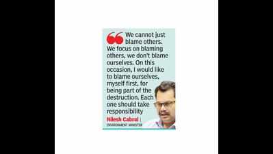 Must focus on green energy to reduce use of fossil fuels: Environment minister Nilesh Cabral