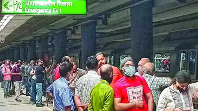 Delhi Metro: Bird-hit brings Blue Line to halt in evening rush hour