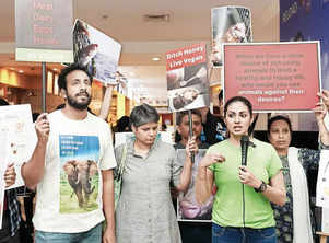 Activists gather at a city multiplex to protest the abuse and exploitation of animals