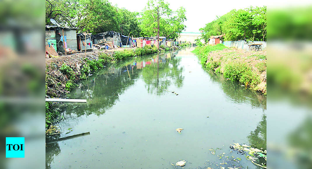 Serpentine: Roads To Be Constructed Over 2 Drains | Patna News - Times ...