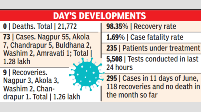 Vidarbha has 200+ active patients, Nagpur accounts for 154 of them