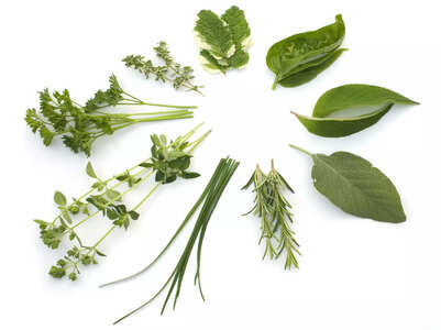 Common leaves that are said to speed up weight loss